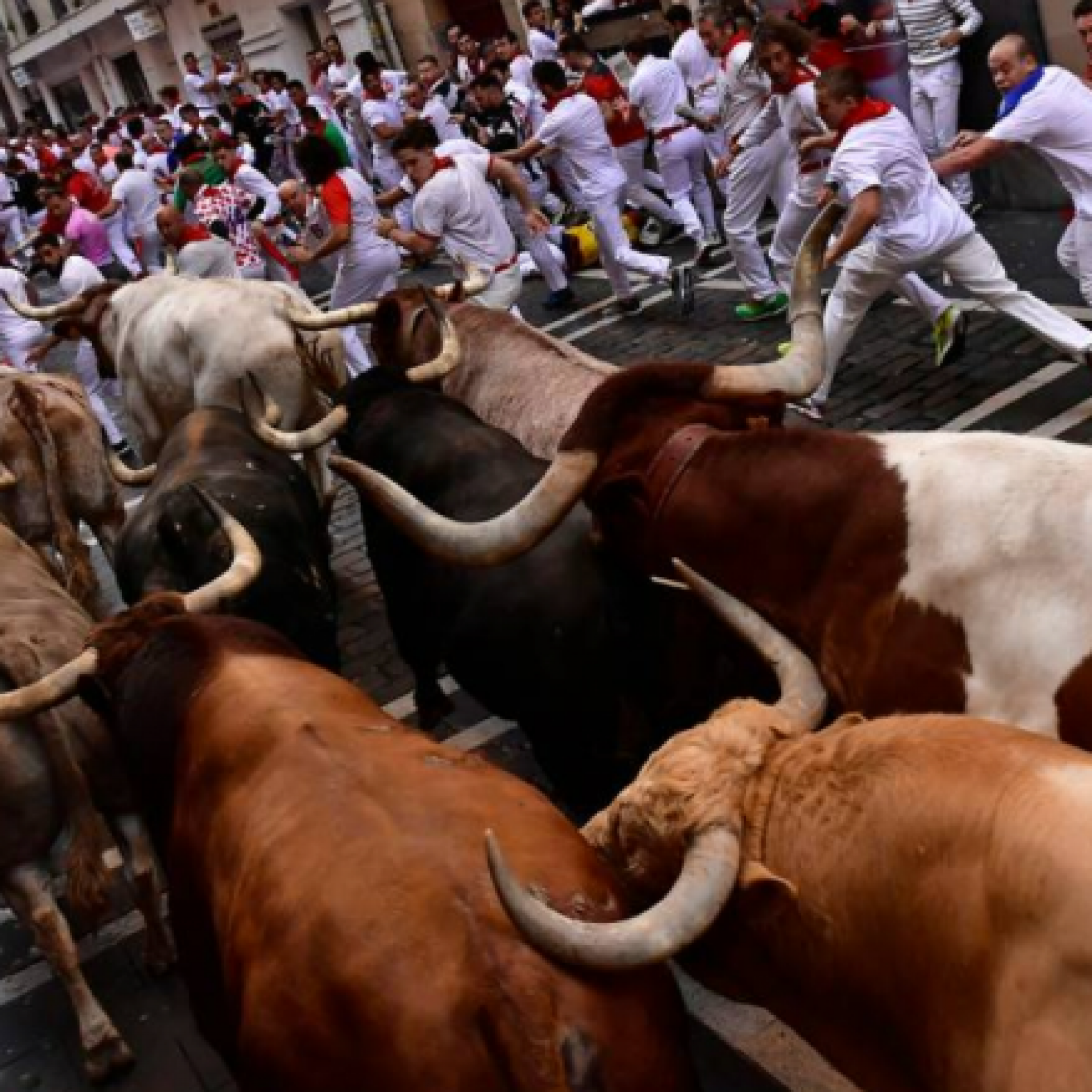 Newyork Daily -  International News, Latest News, Breaking News,Sports, Business and Political News 