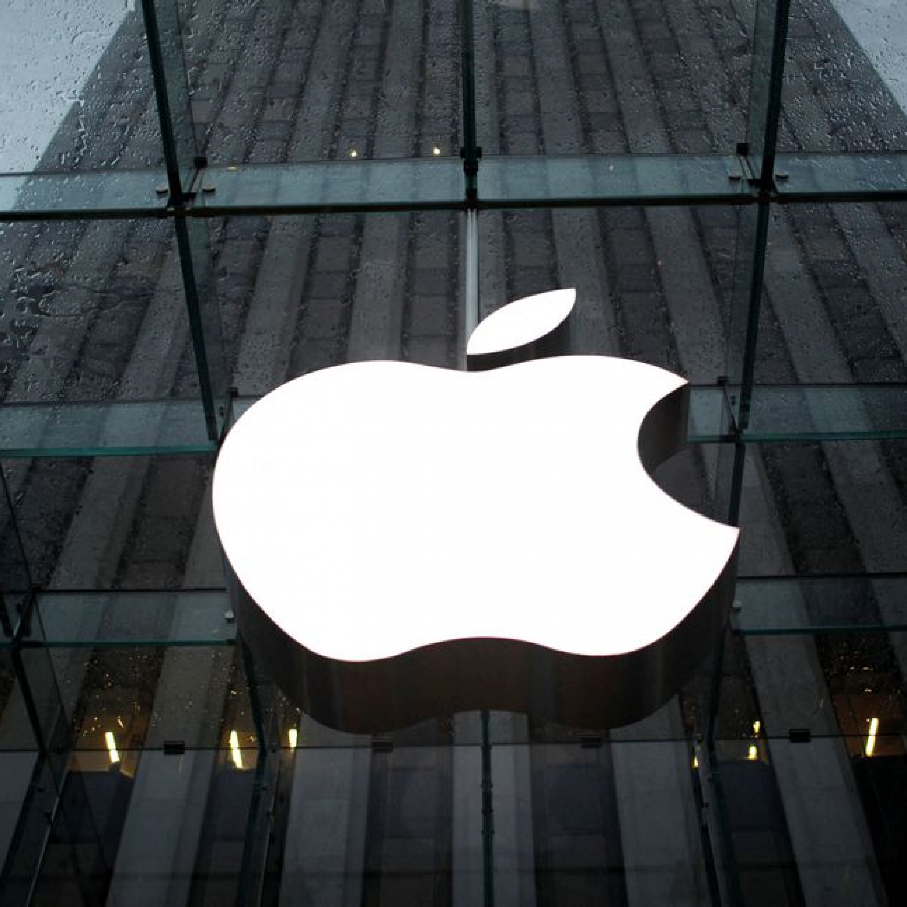 Newyork Daily -  International News, Latest News, Breaking News,Sports, Business and Political News 