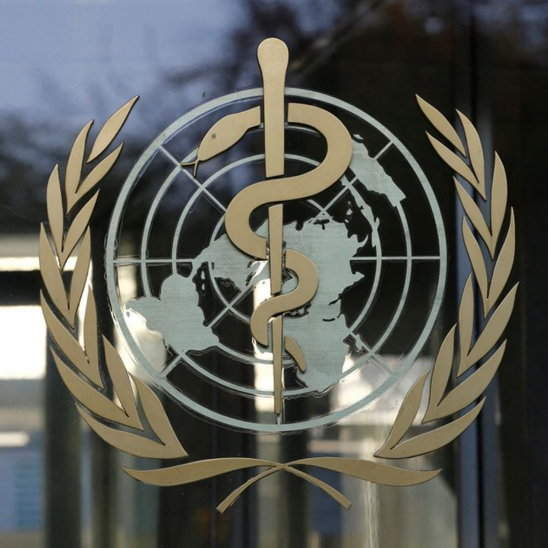 Newyork Daily -  International News, Latest News, Breaking News,Sports, Business and Political News 