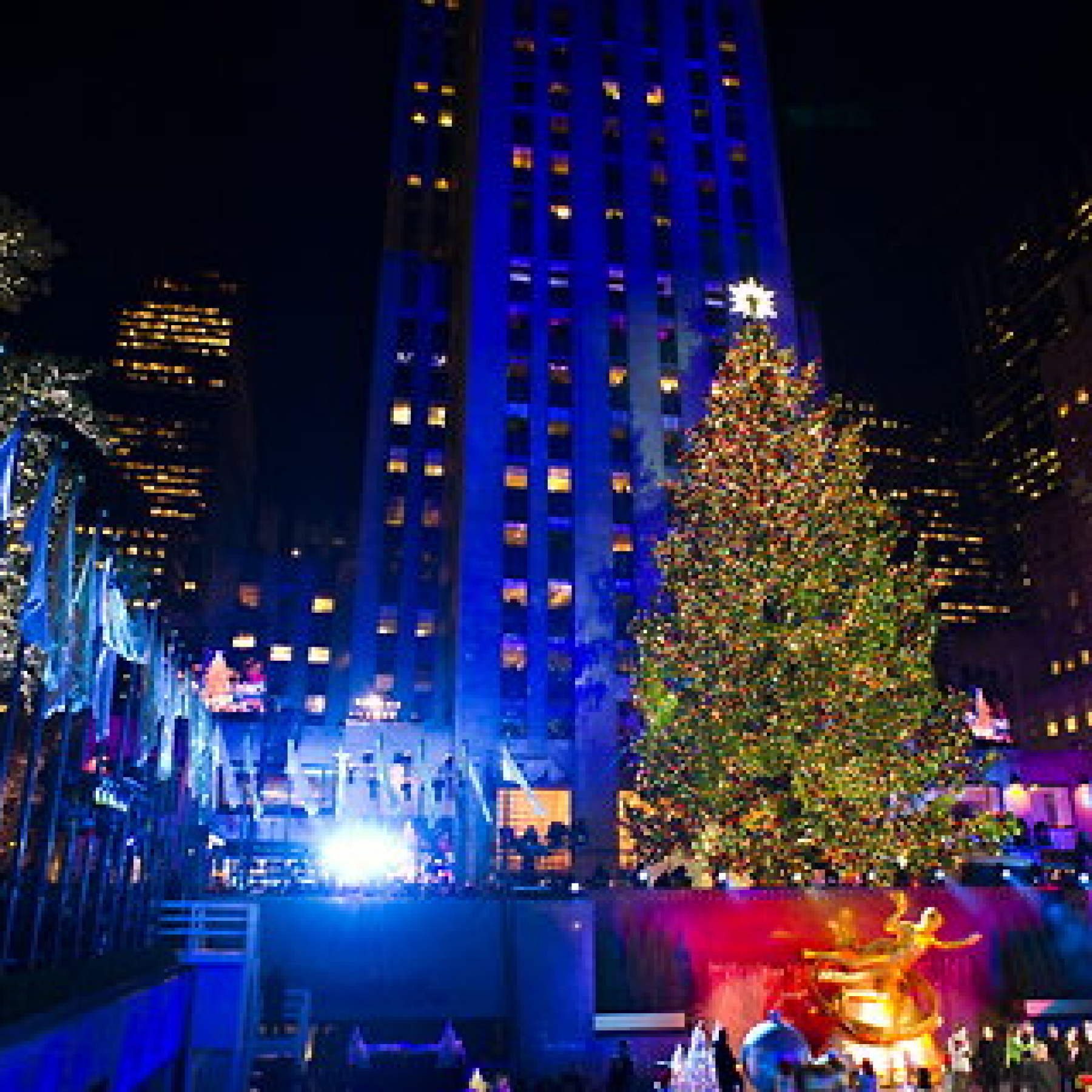 Newyork Daily -  International News, Latest News, Breaking News,Sports, Business and Political News 