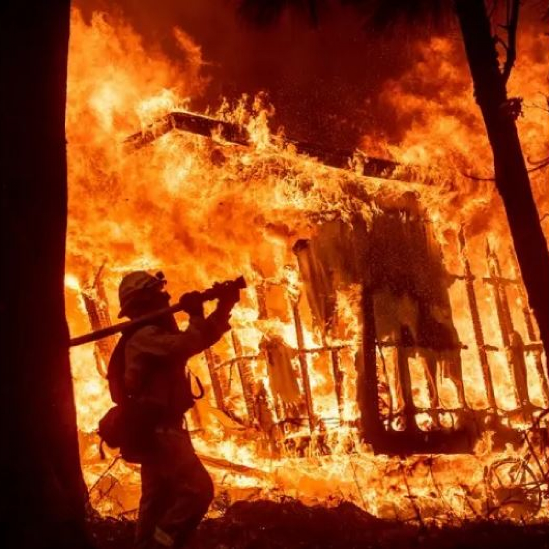 Newyork Daily -  International News, Latest News, Breaking News,Sports, Business and Political News 