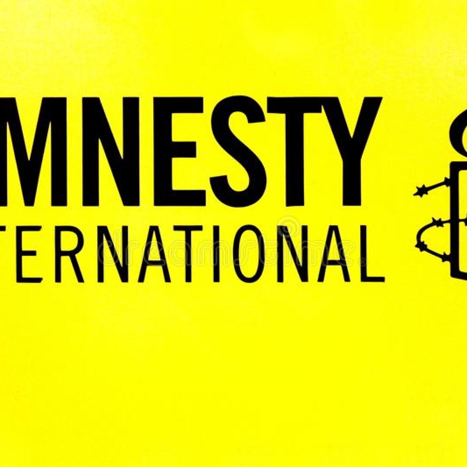 Amnesty