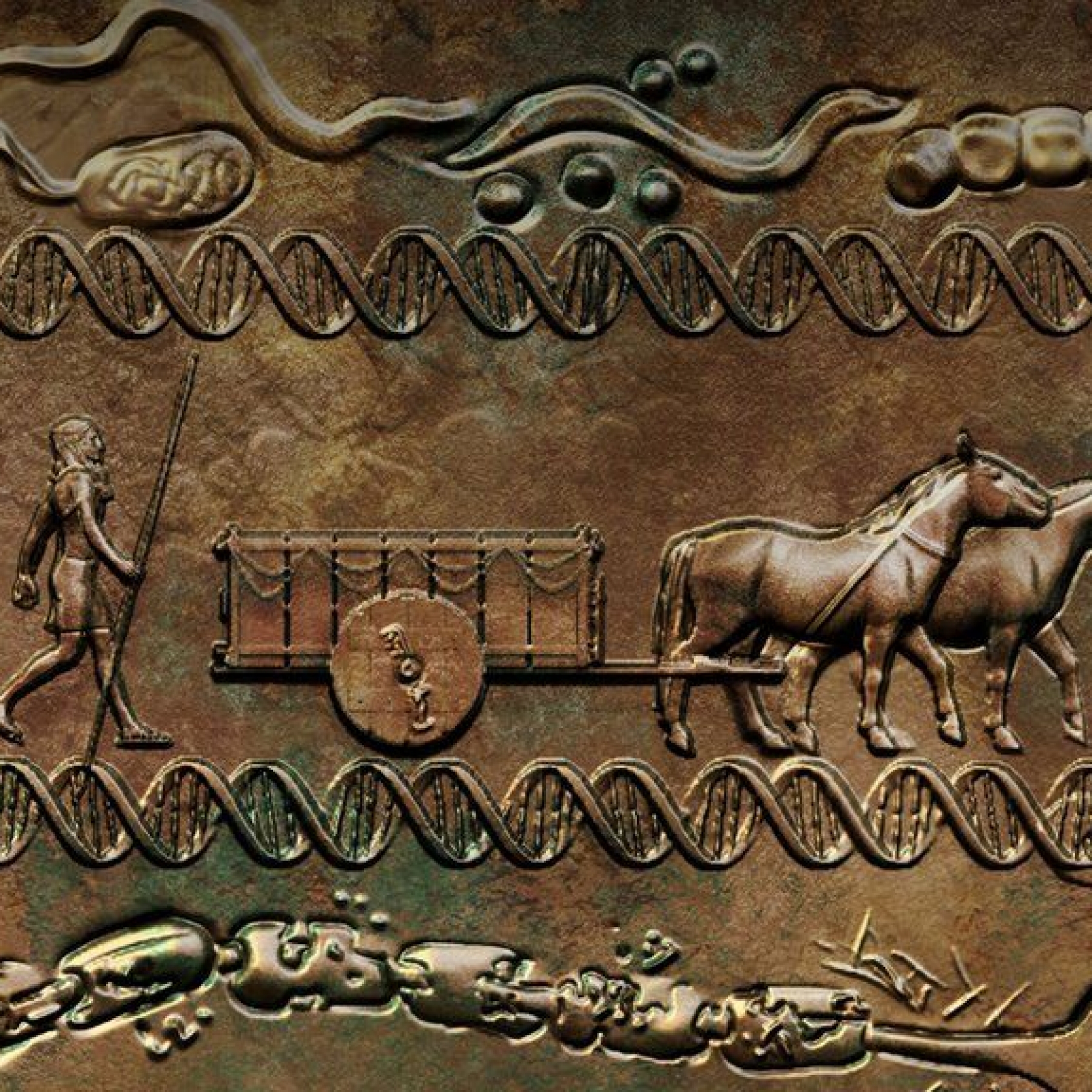 Scientists crack mystery of how MS gene spread