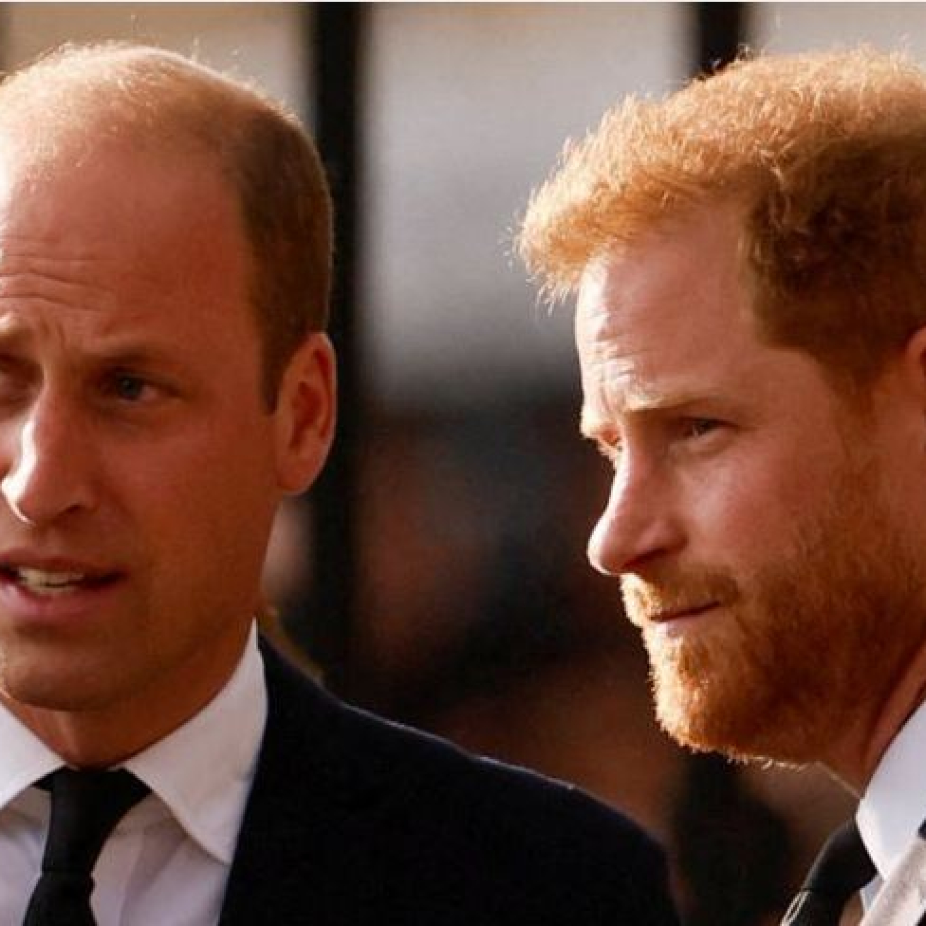 Prince Harry
